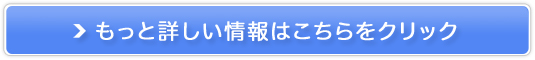 hN^[fBI Y_pbN̔TCg